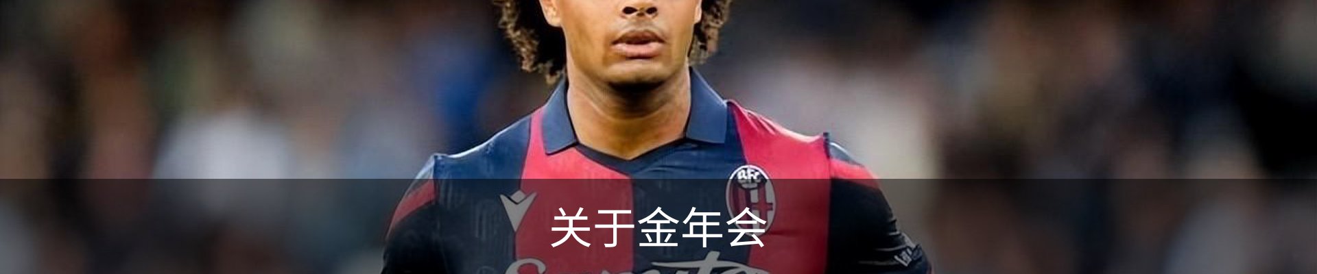 关于金年会